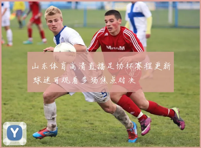 山东体育高清直播足协杯赛程更新 球迷可观看多场焦点对决